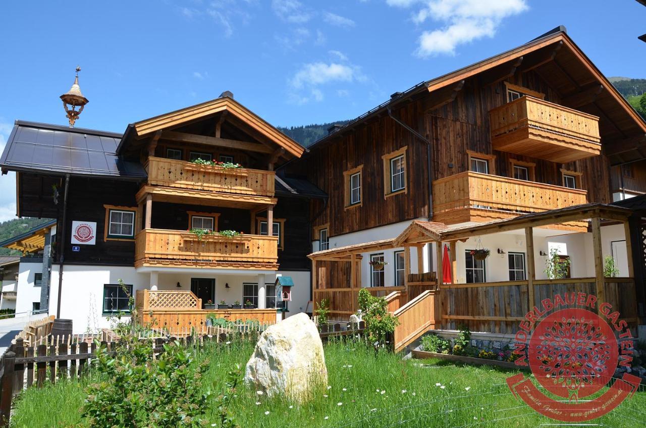 Apartmán Anderlbauer Dorfgastein Exteriér fotografie